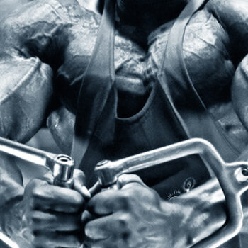 Why Muscle Connectivity Matters