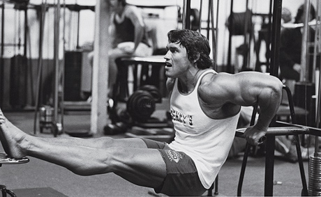 arnold Schwarzenegger bench dips