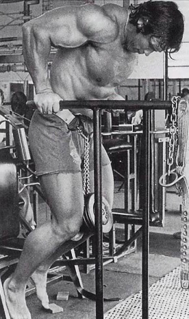 arnold schwarzenegger