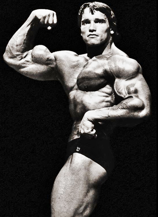 arnold schwarzenegger pose