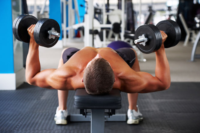 dumbbell bench press