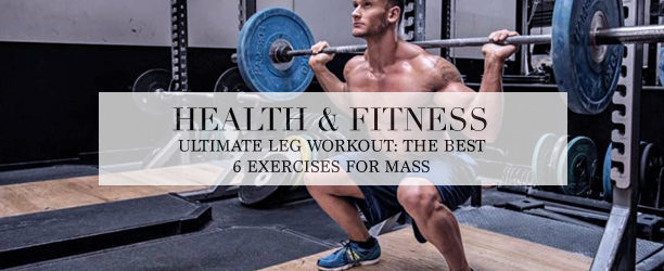 barbell squat - leg workout - best exercise for mass