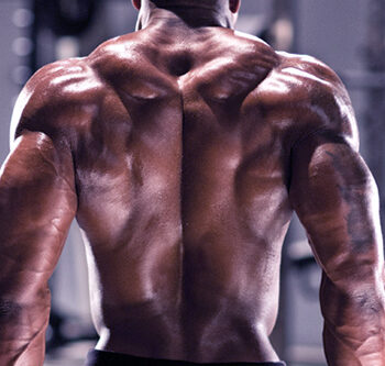 Back and Biceps Workout for Mass