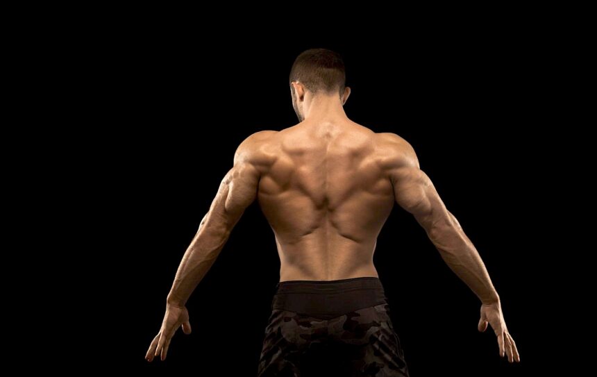 back_and_biceps_workout back and biceps workout