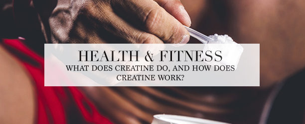what does creatine do?