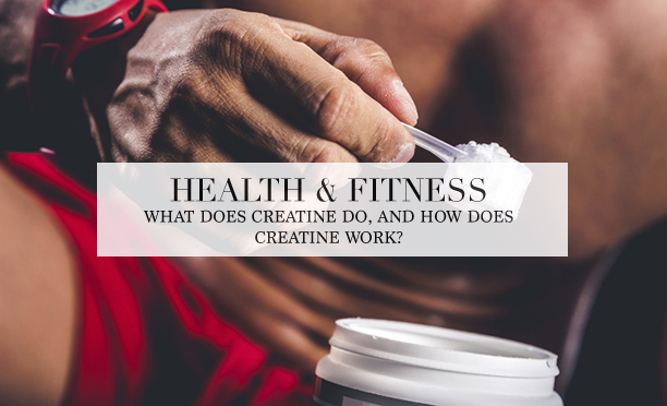 what does creatine do?