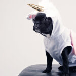 luxury goods benefits everyone