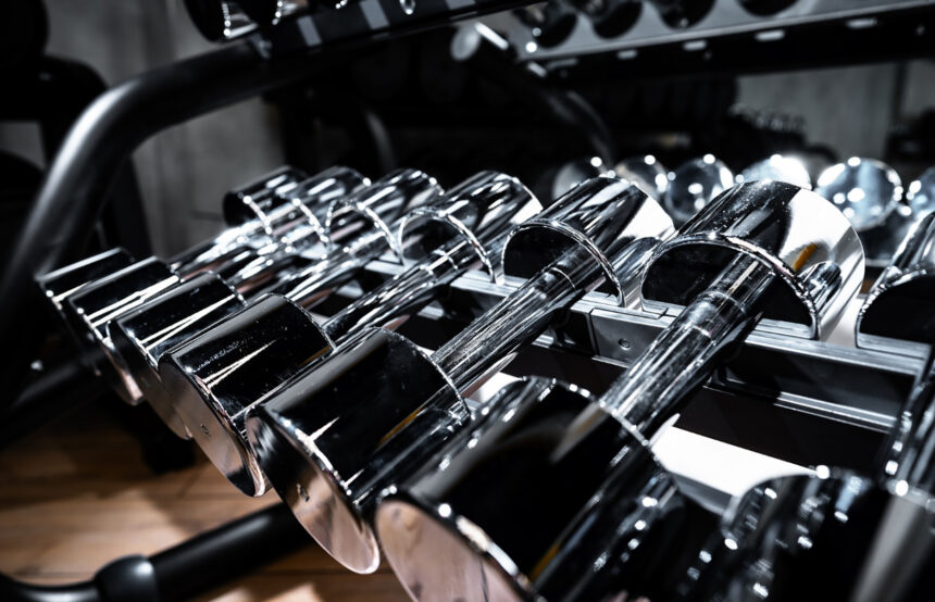 weights in gym | add muscle without adding weight