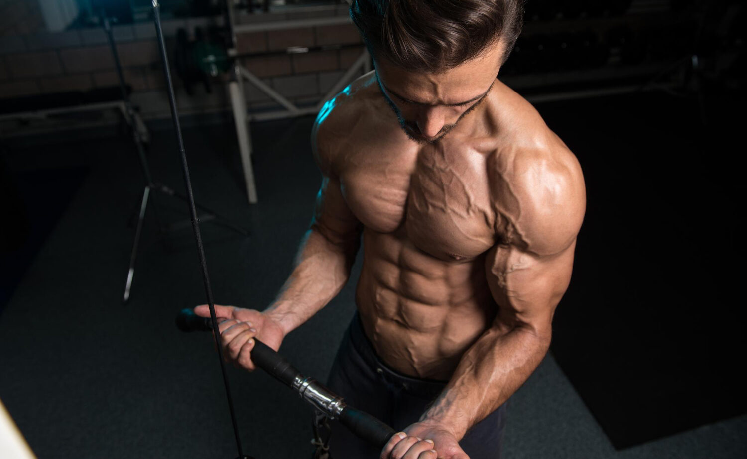 biceps curl | isolation exercise