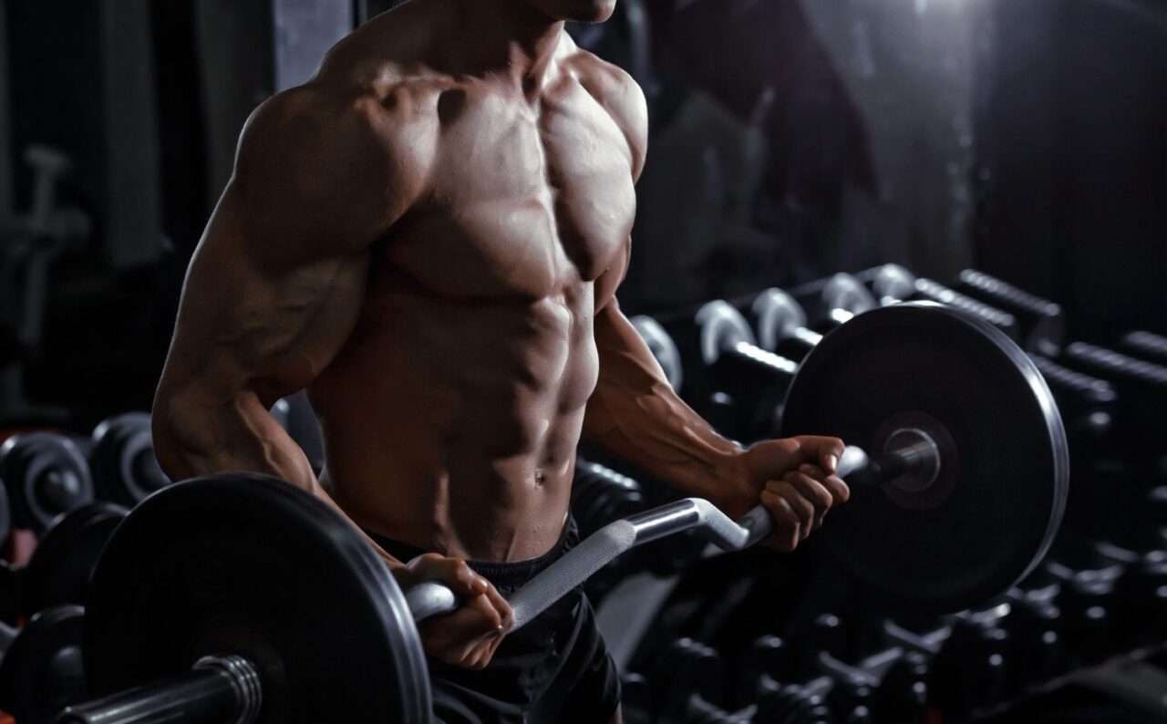 Concentric, Eccentric, and Isometric Contractions: What They Are and ...