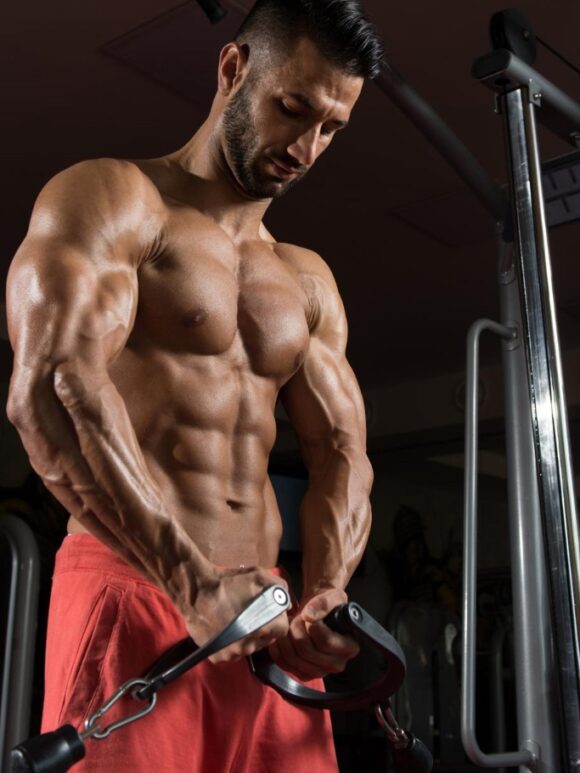science of muscle protein synthesis | fitness