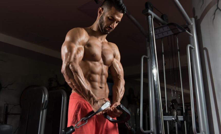 science of muscle protein synthesis | fitness