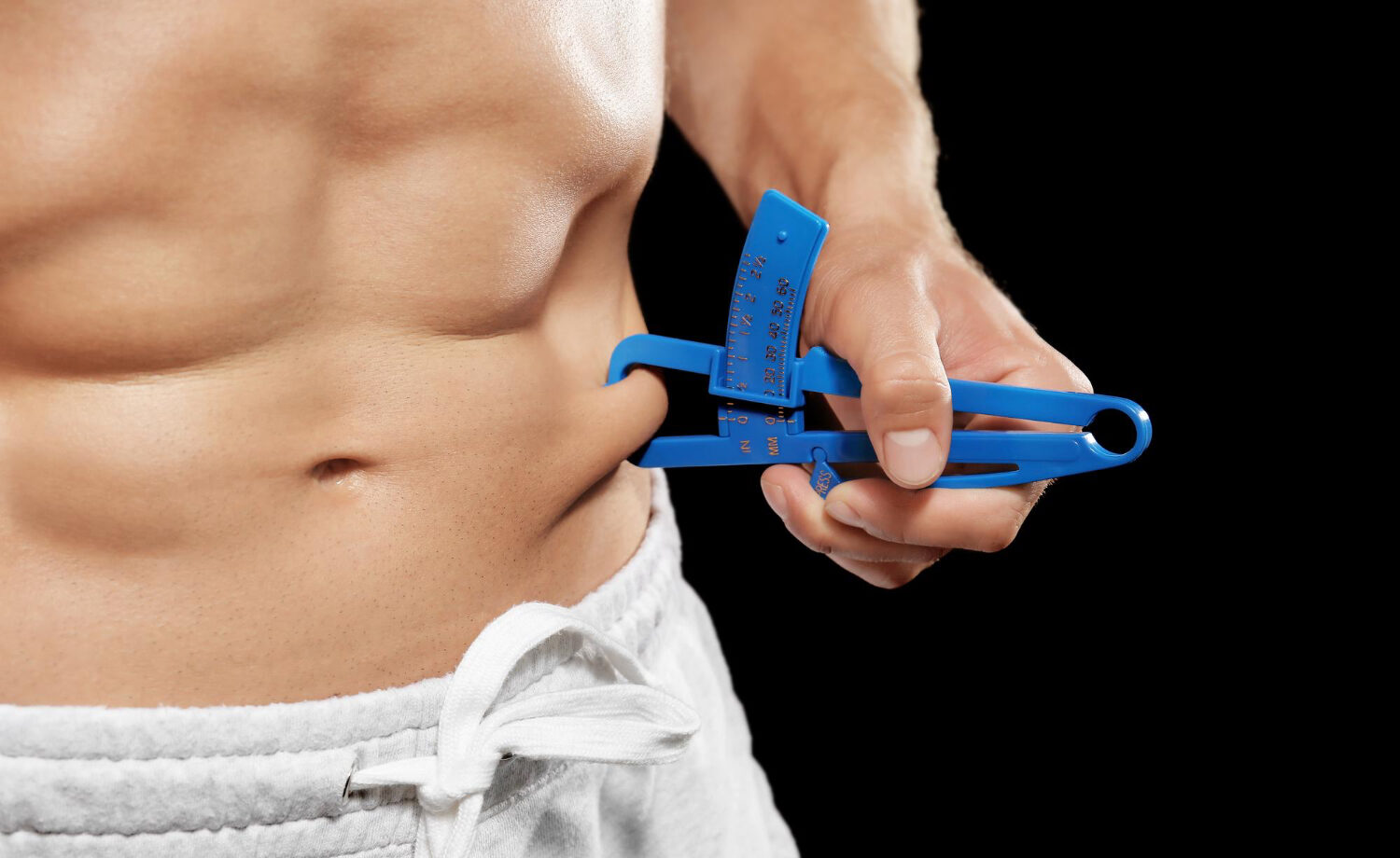body fat percentage