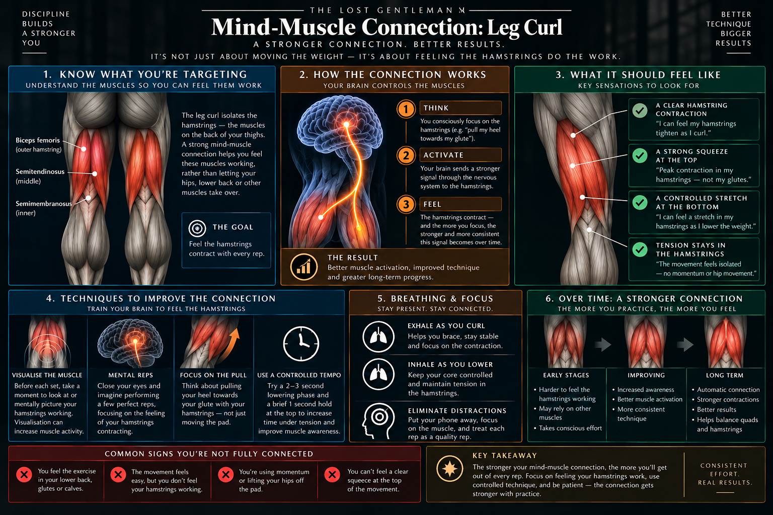 leg curl mind-muscle connection